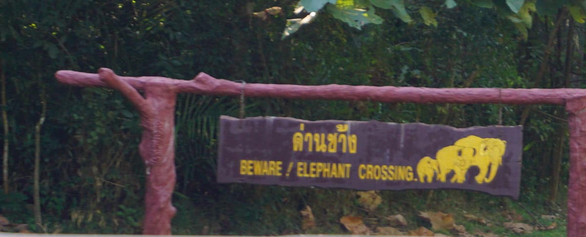 Khao Yai