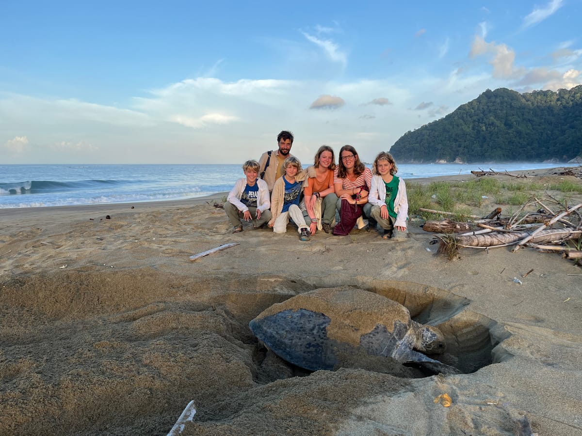 Le centre de conservation des tortues marines