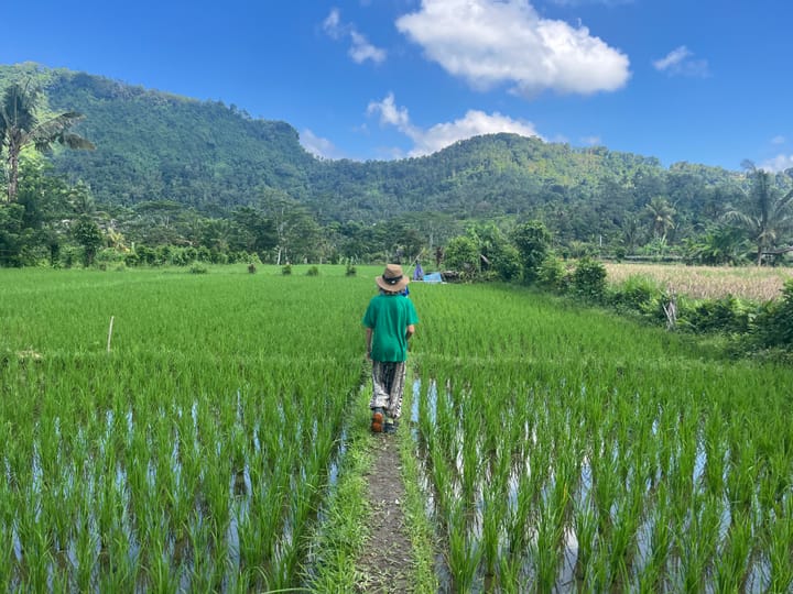 Bali la magique